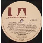 Jan & Dean - Ride The Wild Surf (LP, Comp)