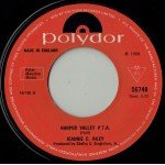 Jeannie C. Riley - Harper Valley P.T.A. (7