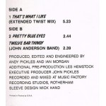 Jive Bunny And The Mastermixers - That's What I Like (12 Jive Bunny And The Mastermixers - That's What I Like (12