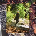 Joan Baez - Whistle Down The Wind (CD, Album, Dig)