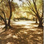 Joan Baez - Whistle Down The Wind (CD, Album, Dig)