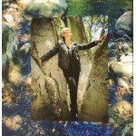 Joan Baez - Whistle Down The Wind (CD, Album, Dig)