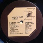 Joe Cocker - Jamaica Say You Will (LP, Album)