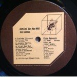 Joe Cocker - Jamaica Say You Will (LP, Album)