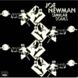 Joe Newman - Similar Souls (2xLP, Comp, Gat)