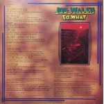 Joe Walsh - So What (LP, Album, CBS)