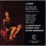 J.S. Bach* - Barbara Schlick, Gérard Lesne, Howard Crook, Peter Harvey, Peter Kooy*, Collegium Vocale, La Chapelle Royale, Philippe Herreweghe - Ich Hatte Viel Bekümmernis - Cantates BWV 21 & 42 (CD, Album)
