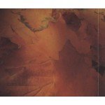 Brahms*, Karl Leister - Clarinet Quintet - Clarinet Trio - Clarinet Sonatas (2xCD, Album, Comp, RE)