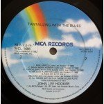 John Lee Hooker - Tantalizing With The Blues (LP, Comp)