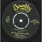 Jonathan Richman & The Modern Lovers - Egyptian Reggae (7