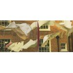Kate Bush - Aerial (2xCD, Album)