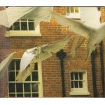 Kate Bush - Aerial (2xCD, Album)