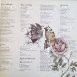 Kate Bush - Never For Ever (LP, Album, Gat)