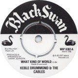 Keble Drummond & The Cables - What Kind Of World (7