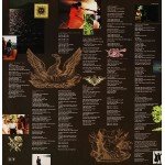 King - Bitter Sweet (LP, Album)