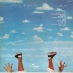 Leo Sayer - Endless Flight (LP, Album, Gre)