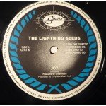 The Lightning Seeds* - Joy (12