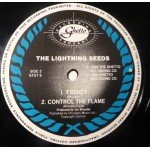 The Lightning Seeds* - Joy (12