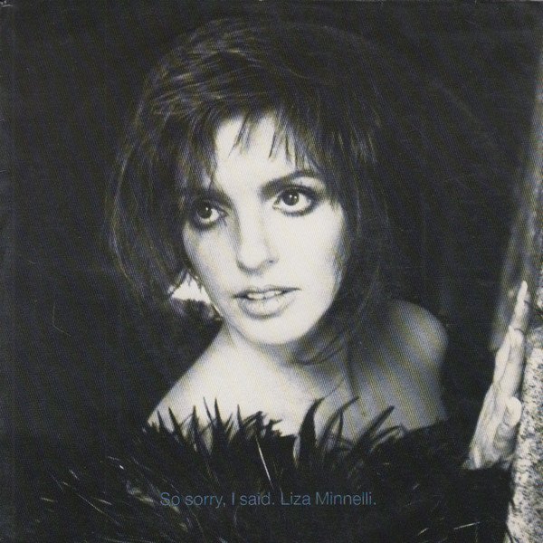 Liza Minnelli - So Sorry, I Said (7