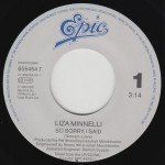 Liza Minnelli - So Sorry, I Said (7