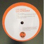Lucatwana - City Droids (12