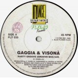 Gaggia* & Visonà* - Party Groove (12