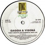 Gaggia* & Visonà* - Party Groove (12