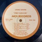 Lynyrd Skynyrd - Street Survivors (LP, Album, RE, Glo) Lynyrd Skynyrd - Street Survivors (LP, Album, RE, Glo)