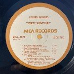 Lynyrd Skynyrd - Street Survivors (LP, Album, RE, Glo) Lynyrd Skynyrd - Street Survivors (LP, Album, RE, Glo)