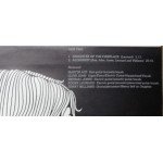 Man - Man (LP, Album, Tex)