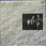 Marc Johnson (2) - Bass Desires (LP, Album)