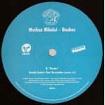 Markus Nikolai - Bushes (12