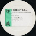 Mistabishi - Falling In Love / She Lied (12