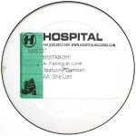 Mistabishi - Falling In Love / She Lied (12