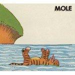 Mole (30) - Danger Island (CD, Album)