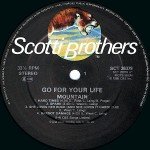 Mountain - Go For Your Life (LP, Album)