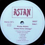 Muddy Waters - Sweet Home Chicago (LP, Comp)