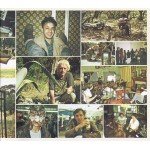 Mystery Jets - Radlands (CD, Album, Dig)