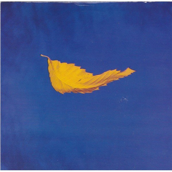 New Order - True Faith / 1963 (7