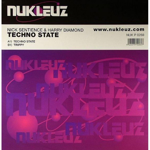 Nick Sentience & Harry Diamond - Techno State (12