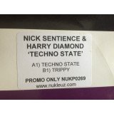 Nick Sentience & Harry Diamond - Techno State (12