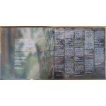 Norah Jones - The Fall (LP, Album, Gat)