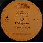 Norman Cook featuring Lester* - For Spacious Lies (12