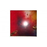 Paul Brett - Earth Birth - The First Twelve String Guitar Suite (LP, Album)