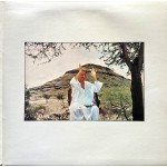 Pete Townshend - Who Came First (LP, Album, Gat)