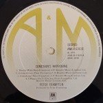 Peter Frampton - Somethin's Happening (LP, Album)