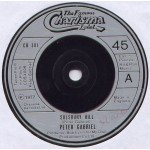 Peter Gabriel - Solsbury Hill (7 Peter Gabriel - Solsbury Hill (7