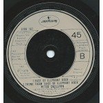 Peter Skellern - Put Out The Flame (7