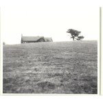 PJ Harvey - Let England Shake (CD, Album, Dig)