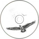 PJ Harvey - Let England Shake (CD, Album, Dig)